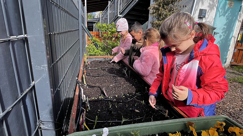 Die Kinder der Kita Goldfischchen in Berlin bewässern ihr Hochbeet im Kita-Garten mithilfe eines Gießroboters.