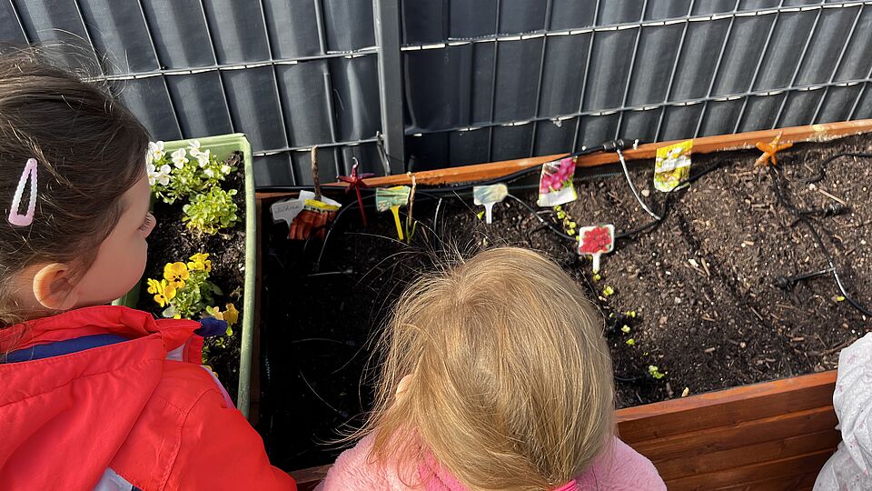 Die Kinder der Kita Goldfischchen in Berlin bewässern ihr Hochbeet im Kita-Garten mithilfe eines Gießroboters.