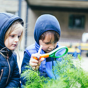 Kinder betrachten Pflanzen mit einer Lupe.