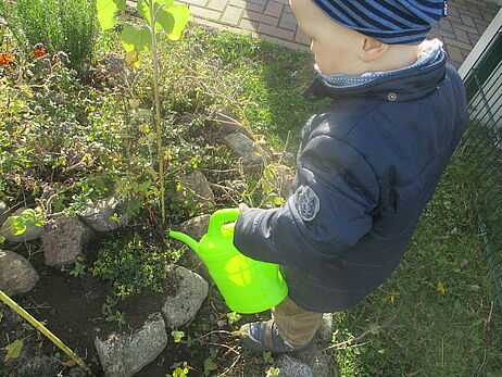 Ein Kind gießt Pflanzen in einem Beet mit einer grünen Gießkanne