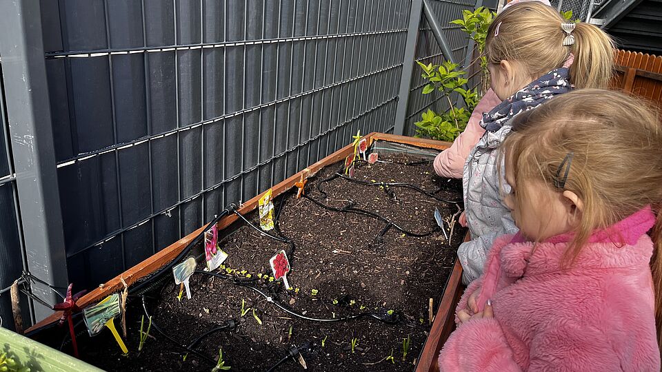 Die Kinder der Kita Goldfischchen in Berlin bewässern ihr Hochbeet im Kita-Garten mithilfe eines Gießroboters.
